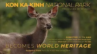 Kon Ka Kinh National Park/recognized by UNESCO as World Biosphere Reserve and ASEAN Heritage Park