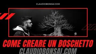 COME CREARE UN BOSCHETTO BONSAI 2021