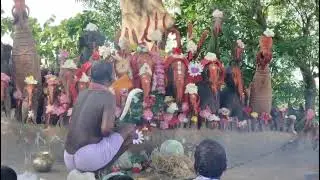 @মা কাঁকড়াসিনি মাতার মহাঅষ্টমীর সন্ধিপূজা সমাপনান্তে বলিদান🙏