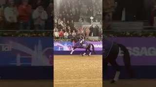 Lottie Fry and Glamourdale Freestyle Lap of Honour #britishdressage #equestrian #stallion #dressage