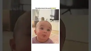 Tallest Tree in the World🌴🌲✨️ #cute #cutebaby #shortvideo #shorts