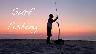 Surf Fishing for Northern Kingfish