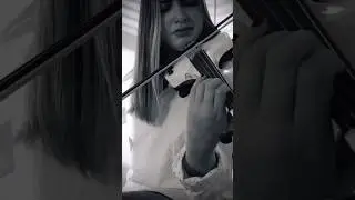 Violinist  #violin #miamimusiciansforevents