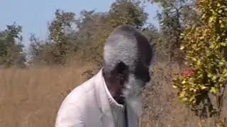 THE AFRICAN APOSTOLIC CHURCH (MUDZIDZISI PAUL MWAZHA teaching)
