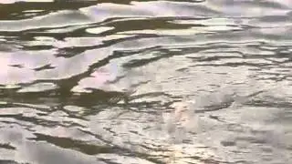 captura enorma Beclean pe Somes 2