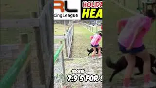 Watch Sookie & Yeti RACE! Backyard Dog Racing League Fun! #shorts