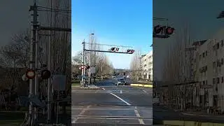 🚂🚂Train Gate Closing Bell ASMR #SatisfyingSound Flashing Red lights [Location Smith street USA]