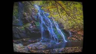 Synapse - featuring Chase Bliss Habit & Hologram Microcosm in parallel