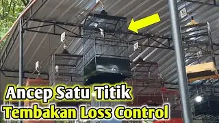 TAMPILAN TERBARU CENDET TIBET DIARENA LOMBA || LANGSUNG 2X KUNCIR || CAFE ALAM BONDOWOSO