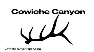 Cowiche Canyon  Coyotes 