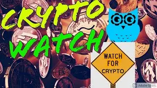 Analyzing Shib & Safemoon | LIVE | Crypto News | Altcoin News