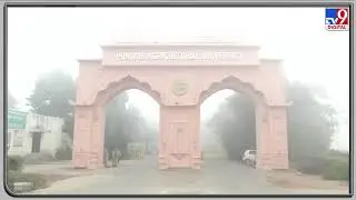 Cold wave grips North India