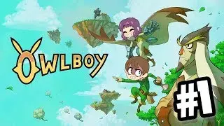 OWLBOY(PC)