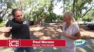 LYNES ON DESIGN | Paul Morano, Arborist, Monster Tree Service of Hilton Head | August 2021 | WHHITV
