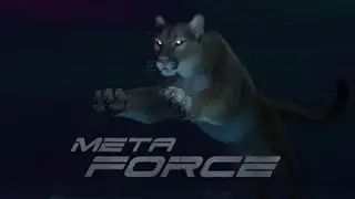 Meta Force Withdrawal - How To Withdraw Your Earnings On Meta Force