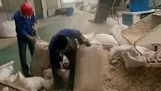Peanut shells pellet making machine price