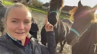 Een kijkje in de stal bij Marissa Visser
