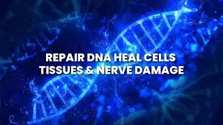 Repair Dna Heal Body, Cells, Tissues & Nerve Damage | Alpha Waves - 528 Hz Full Body Regeneration