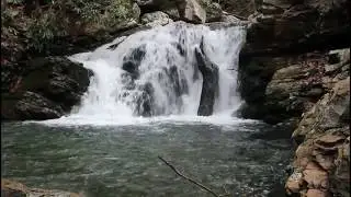 Gee Creek Falls 2020
