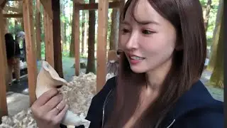 人生初のきのこ狩りが楽しすぎた🍄