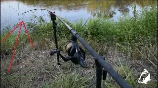 Carp Run COMPILATION 2020! PART 38!