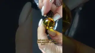 Ever wonder why someone would wear a bug trapped in amber? 🐞