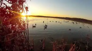 Bc Wetlands