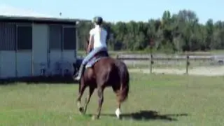 Morgan 2009 clip.MOV