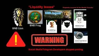 !WARNING! Liquidity & other Issues: BNB LION, FROG, WHITETIGER, PANTHER, MINITiGER, WHITE TIGER MOON