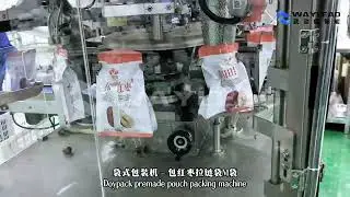 Fast Liquid Pouch Packaging Machine WG250