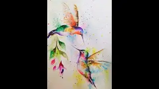 Time lapse Colibr&iacute;es
