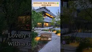 Tea House in Seoul Korea #shorts @flowerm.official