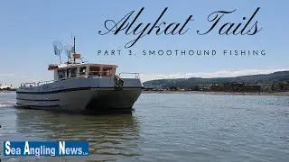 Alykat Tails... Smoothound Fishing in the Bristol Channel