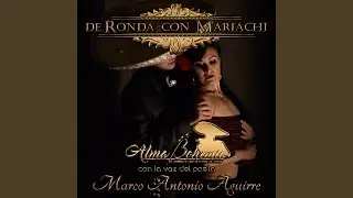 Hasta Dónde Te Quiero (feat. Marco Antonio Aguirre)