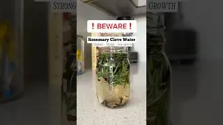 Two ingredients for Thick Long Hair | Rosemary Clove Water | #naturalhair #clovewater #hairgrowth