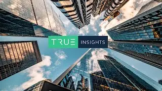 Introduction True Insights