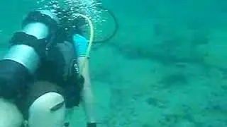 scuba number two