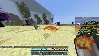 1vs1 on Timolia PVP