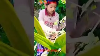 boy's attudate##viralfunnyvideo#carazy#shots#status##pleasesubscribe#creator funny video🙏##mychannel