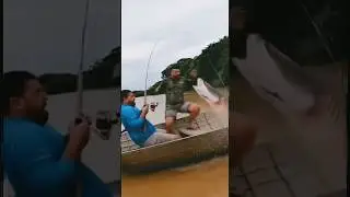 Fish Flying in the Sky?! 😲 Unbelievable River Fishing #fishing #riverfishing #fishjump #shorts