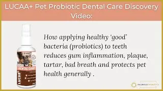 LUCAA+ Pet Probiotic Dental Care Discovery Video