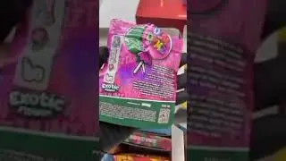 Dum Dumz Powered By Snooze (Authentic) Review