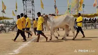 చిలకలూరి పేట టౌన్||6పళ్ళ విభాగం 10వ జత మంచాల రమాదేవి గారు (2712.3) 20-1-2026💥💥