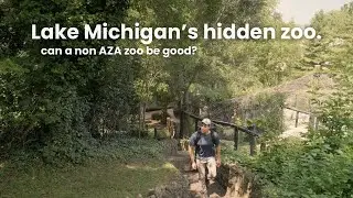 Lake Michigan&rsquo;s hidden gem. Washington Park Zoo tour & review.