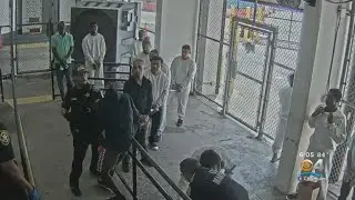 BSO Deputy Fired After Camera Captures Him Punching Handcuffed Inmate