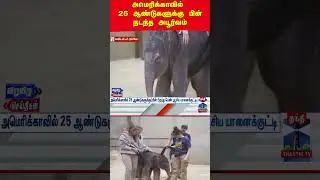 Usa | asianelephant | babyelephant