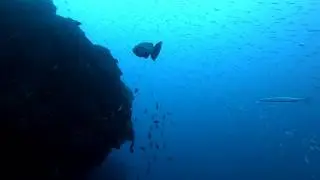 Diving in Lanzarote with Scuba Legends Dive Center