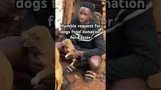 Humble request for dogs food donation needed#animal #rescuedog @tiffanyframpton