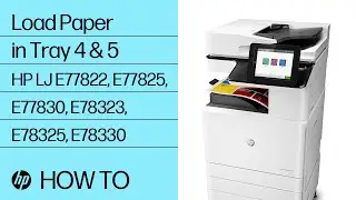 Load Paper in Tray 4 & 5 | HP Color LaserJet MFP E77822, E77825, E77830, E78323, E78325, E78330 | HP