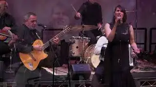 What’s Life About - Traditional Version | Dan Armeanca | Laura Crema | Lache Cercel and Roma Jazz